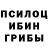 Галлюциногенные грибы Psilocybine cubensis Sasha Abramova