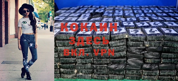 соль ск Арсеньев