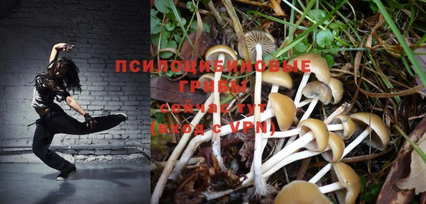 шишки Аркадак