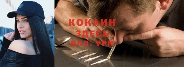 шишки Аркадак