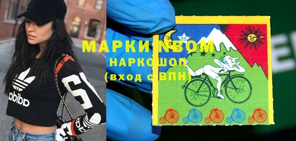 соль ск Арсеньев