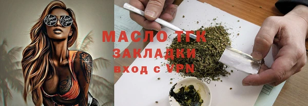 шишки Аркадак