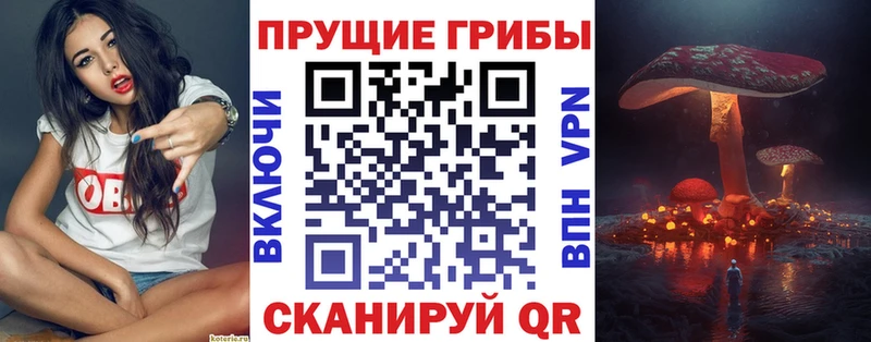 Галлюциногенные грибы Magic Shrooms  Губкинский 
