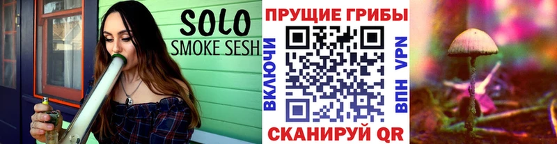 Псилоцибиновые грибы мухоморы Губкинский