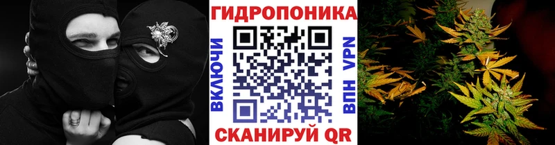 Бошки Шишки OG Kush  Губкинский 